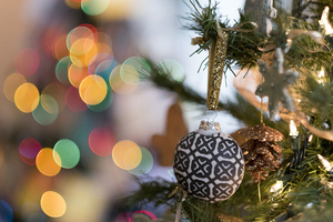 The Festival of Trees is one of The Everson Museum of Art's biggest fundraiser every year.